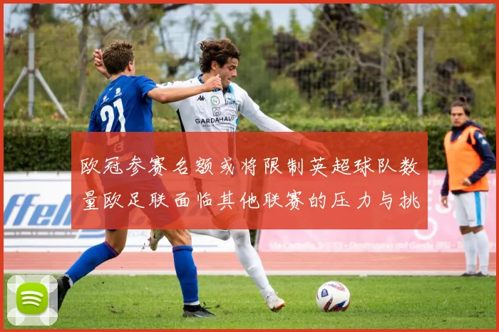 欧冠参赛名额或将限制英超球队数量欧足联面临其他联赛的压力与挑战